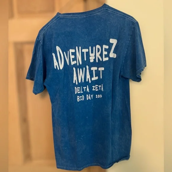 Delta Zeta Bid Day Tshirt - Picture 2 of 2